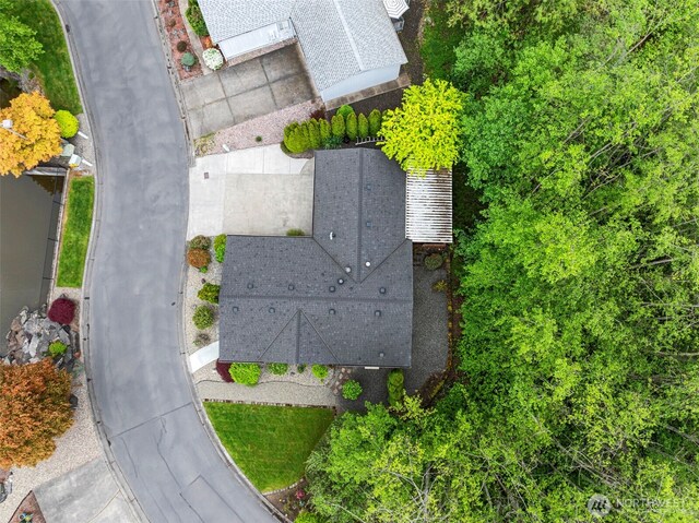 drone / aerial view