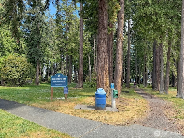 view of community with a lawn