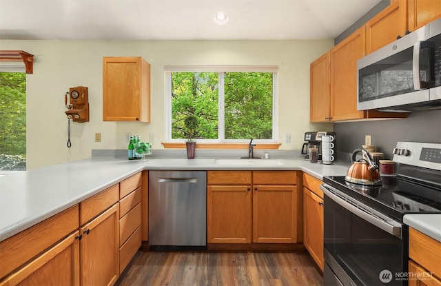 27627 NE 140th Pl, Duvall, WA 98019 - kitchen featuring a sink, stainless steel appliances, dark wood-style flooring, and a healthy amount of sunlight
