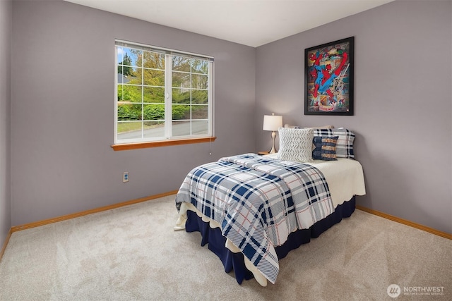 27627 NE 140th Pl, Duvall, WA 98019 - bedroom with baseboards and carpet flooring