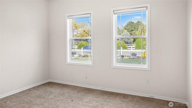 carpeted spare room with baseboards and plenty of natural light