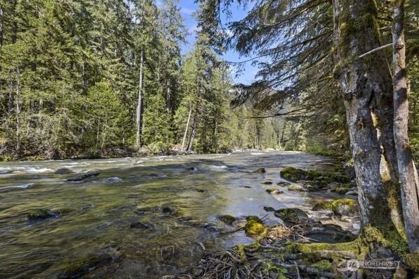 view of nature with a forest view