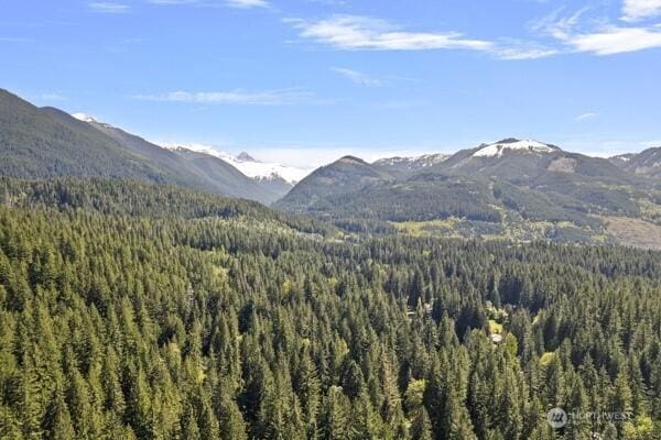 view of mountain feature featuring a wooded view