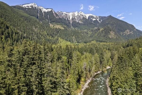 property view of mountains with a forest view