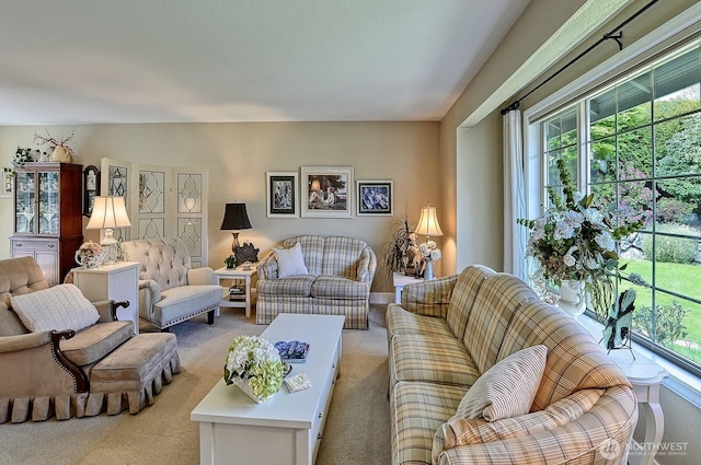 3506 S Grace Ln, Bellingham, WA 98226 - living area featuring light colored carpet