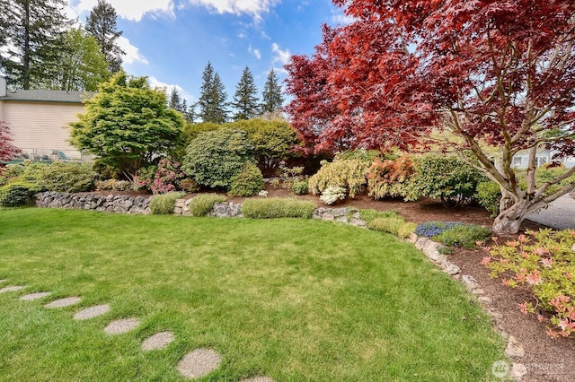 3506 S Grace Ln, Bellingham, WA 98226 - view of yard