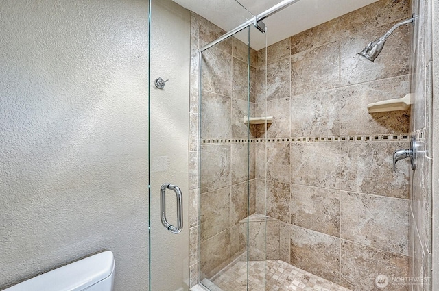 3506 S Grace Ln, Bellingham, WA 98226 - full bathroom with toilet, a textured wall, and a stall shower