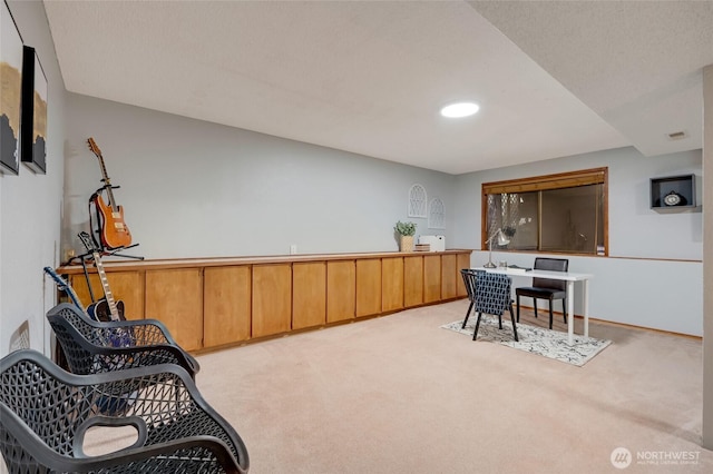 interior space with light colored carpet