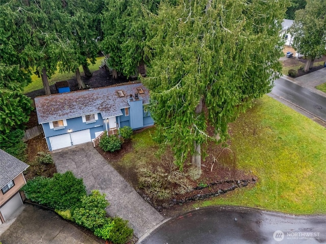 aerial view
