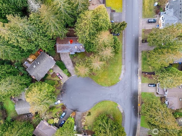 bird's eye view