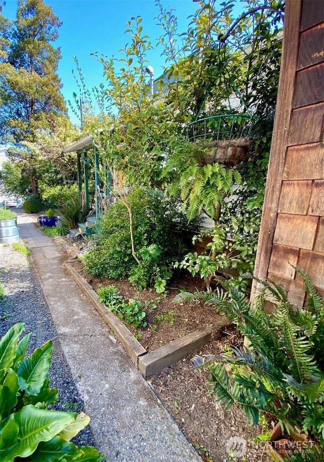 831 NW 52nd St, Seattle, WA 98107 - photo 10