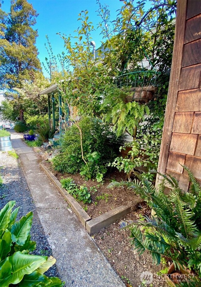 831 NW 52nd St, Seattle, WA 98107 - photo 17