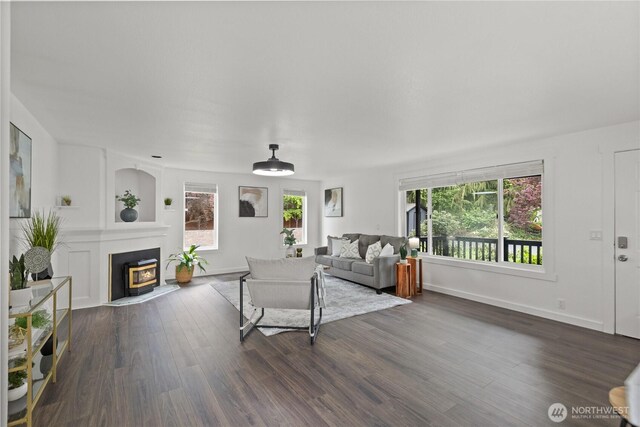 living area featuring plenty of natural light, a large fireplace, and dark wood-style floors