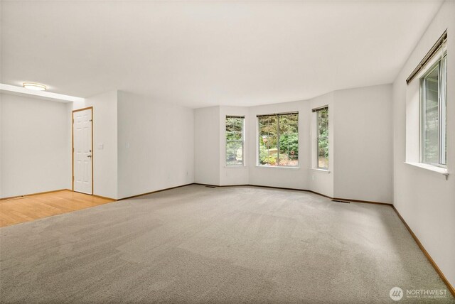 empty room with carpet flooring, baseboards, and plenty of natural light