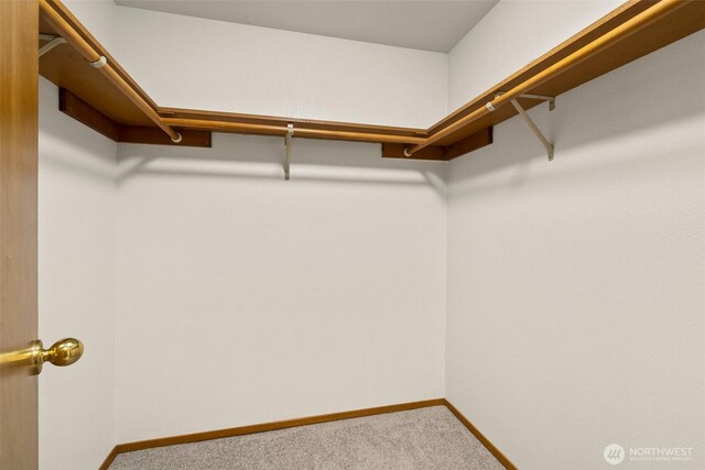 walk in closet with carpet
