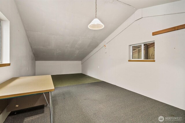 additional living space featuring carpet flooring