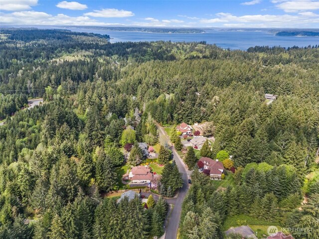 drone / aerial view featuring a view of trees and a water view