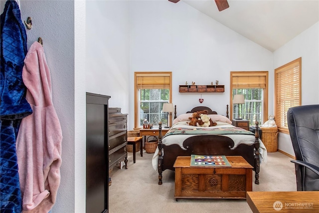 121 Sunstone Rd, Packwood, WA 98361 - bedroom with carpet floors, a ceiling fan, and high vaulted ceiling