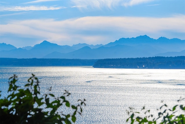 property view of water with a mountain view