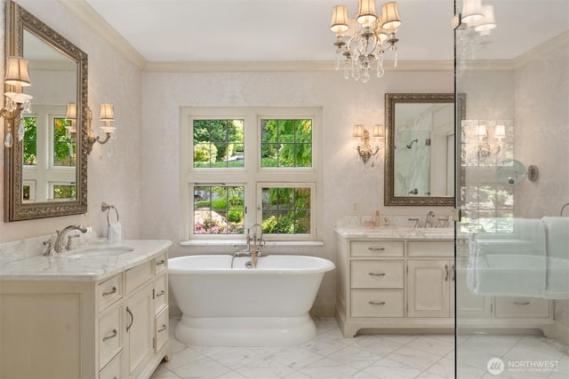 full bathroom featuring a freestanding bath, a shower stall, two vanities, and a sink