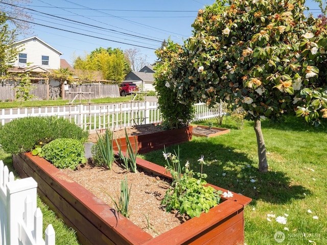 view of yard featuring a vegetable garden