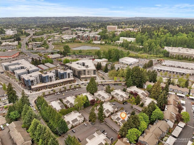 drone / aerial view