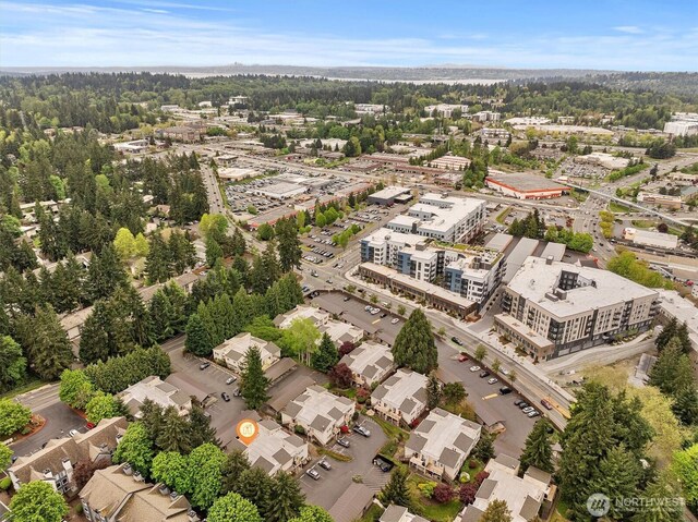 drone / aerial view