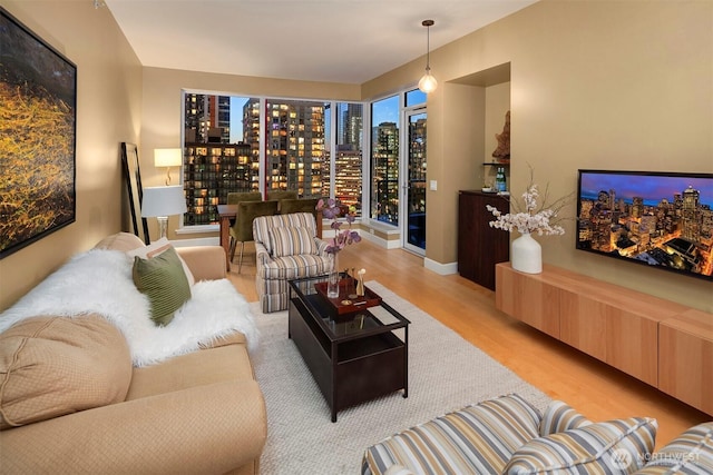 living area featuring baseboards and wood finished floors