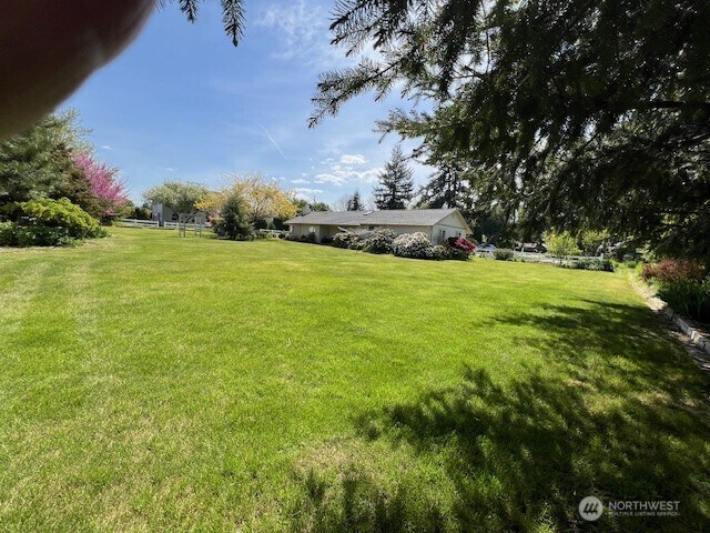 1557 Shelton Rd, Walla Walla, WA 99362 - view of green lawn