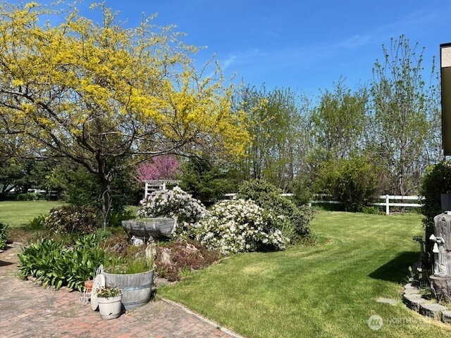 1557 Shelton Rd, Walla Walla, WA 99362 - view of yard