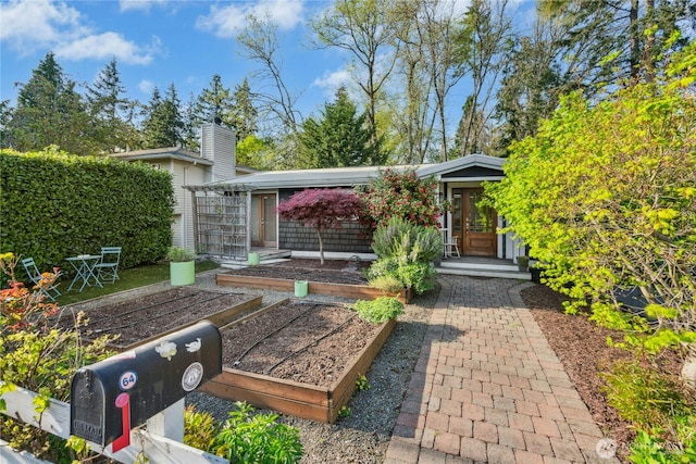 exterior space with a vegetable garden