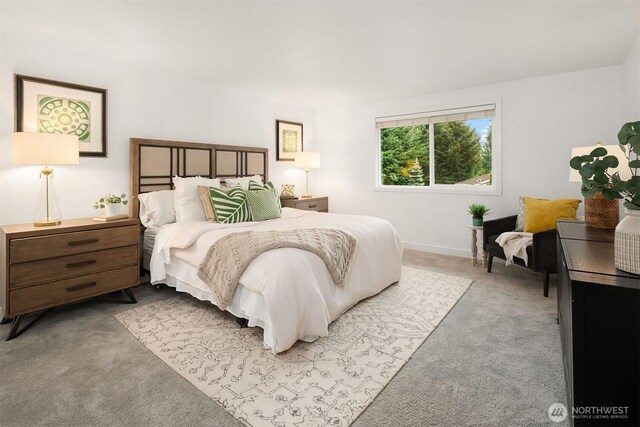 bedroom with baseboards and light carpet