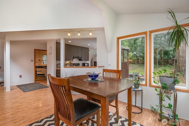 dining space with light wood-style floors and rail lighting