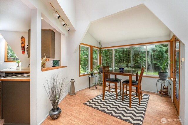 dining room featuring vaulted ceiling and light wood-type flooring