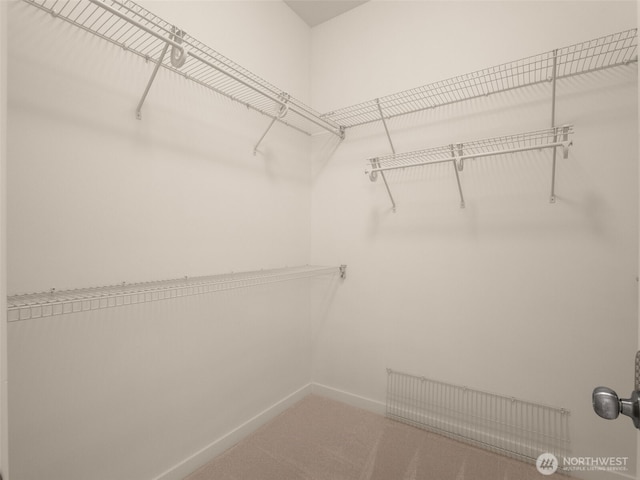 walk in closet featuring carpet