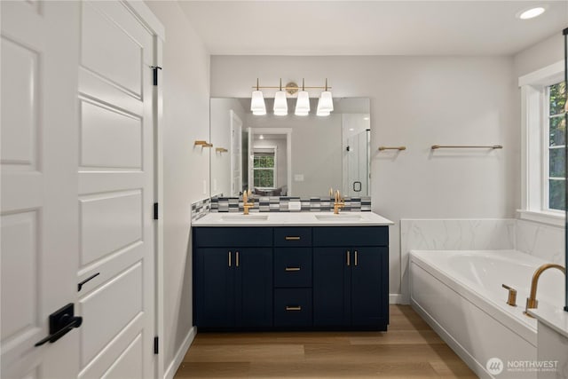 bathroom featuring a sink, double vanity, a garden tub, and wood finished floors