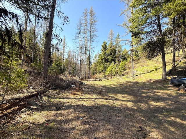 0TBD Give Out Creek Rd, Wauconda, WA 98859