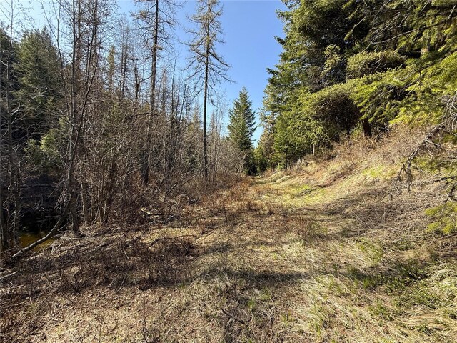 0TBD Give Out Creek Rd, Wauconda, WA 98859