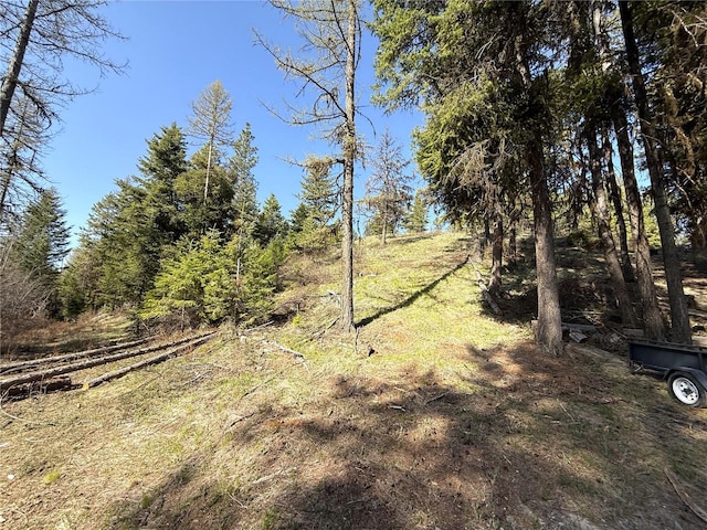 0TBD Give Out Creek Rd, Wauconda, WA 98859