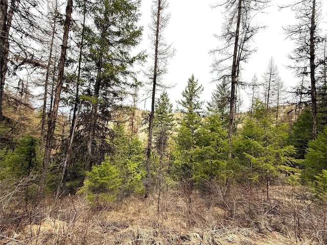 0TBD Give Out Creek Rd, Wauconda, WA 98859