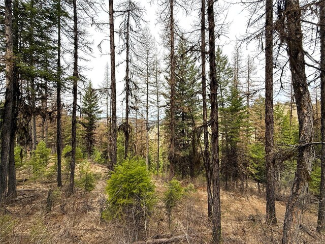 0TBD Give Out Creek Rd, Wauconda, WA 98859
