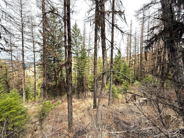 0TBD Give Out Creek Rd, Wauconda, WA 98859