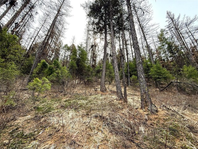 0TBD Give Out Creek Rd, Wauconda, WA 98859