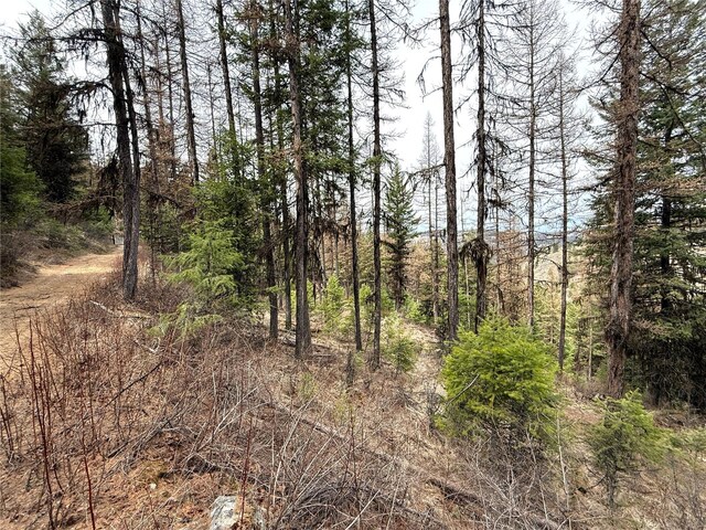 0TBD Give Out Creek Rd, Wauconda, WA 98859