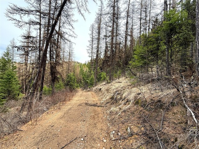 0TBD Give Out Creek Rd, Wauconda, WA 98859