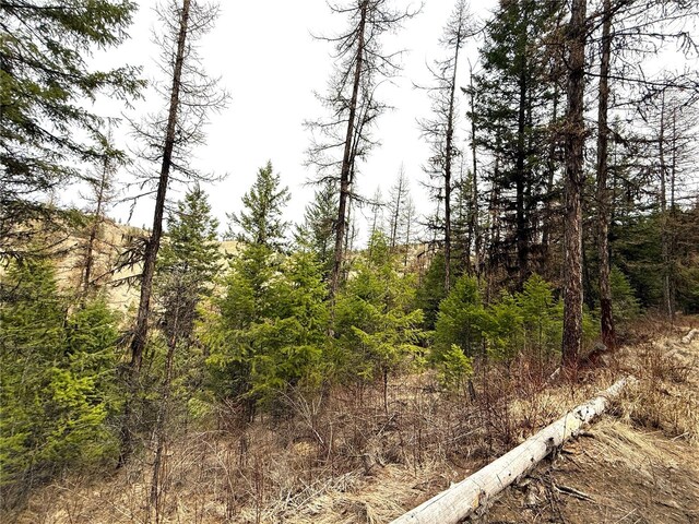 0TBD Give Out Creek Rd, Wauconda, WA 98859