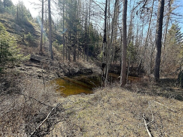 0TBD Give Out Creek Rd, Wauconda, WA 98859