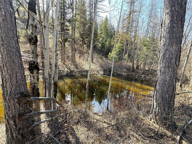 0TBD Give Out Creek Rd, Wauconda, WA 98859