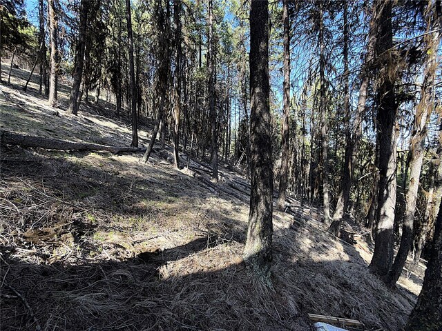 0TBD Give Out Creek Rd, Wauconda, WA 98859