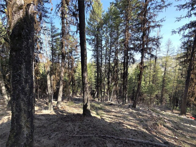 0TBD Give Out Creek Rd, Wauconda, WA 98859